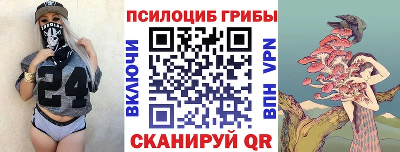 Купить где  Донецк  Галлюциногенные грибы Cubensis 